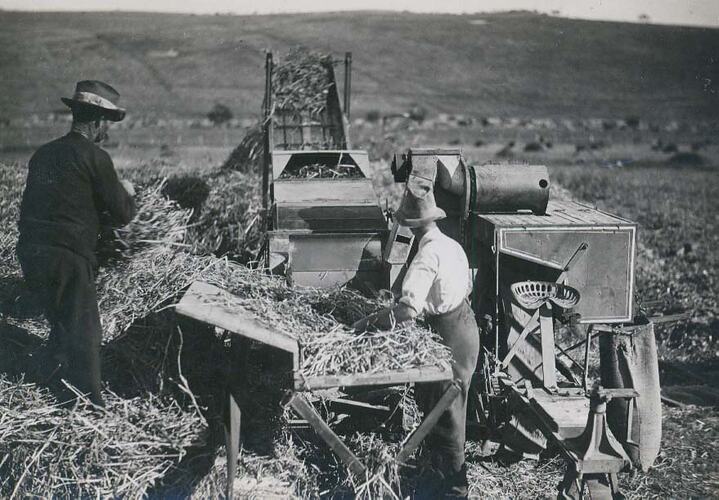 Two men feeding crop into an HST Header.
