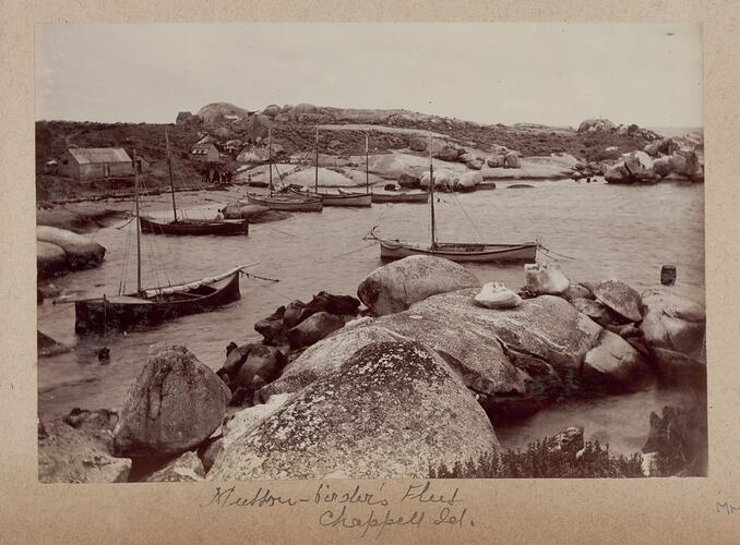 Mutton-Birder's Fleet, Chappell Island, 1893
