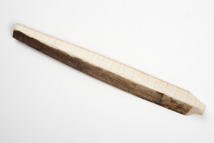 Piece of Ivory - Partially Worked, circa 1970-1990