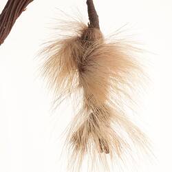 Ornament, neck