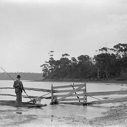 Glass plate. Lake Tyers, Gippsland, Victoria, Australia. 1890s