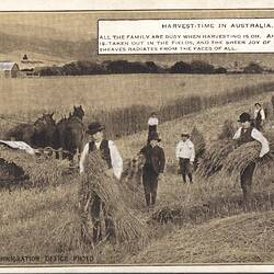Postcard - 'Harvest Time in Australia', Commonwealth Immigration Office, circa 1924