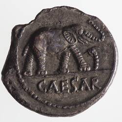 Coin - Denarius, Julius Caesar, Ancient Roman Republic, 49-48 BC