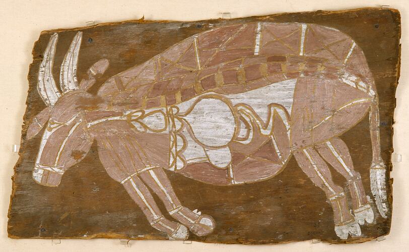 A buffalo painted in  X-ray style, Gaagudju people, western Arnhem Land, 1914