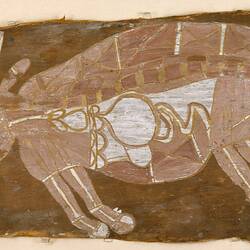 A buffalo painted in  X-ray style, Gaagudju people, western Arnhem Land, 1914
