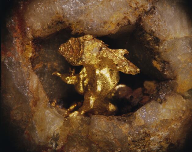 Lump of gold in a quartz hollow.