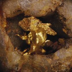 Lump of gold in a quartz hollow.