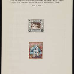 Stamp Album Page - Charity Stamps, New South Wales, Australia, Johnston Stamp Collection, 1897