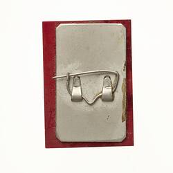 Badge - 1870-1970 [Russian Text]