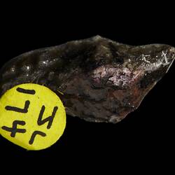 Serra de Mage Meteorite. [E 18865]