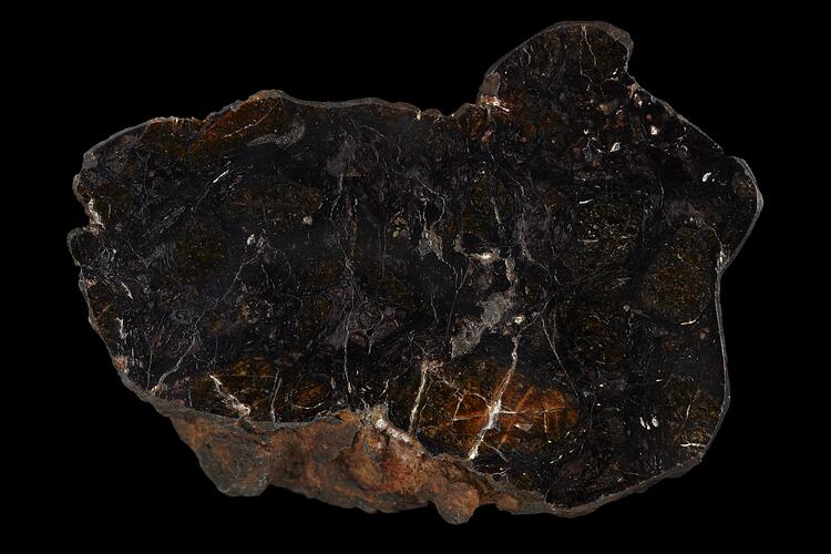 Huckitta Meteorite. [E 12303]