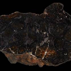 Huckitta Meteorite. [E 12303]