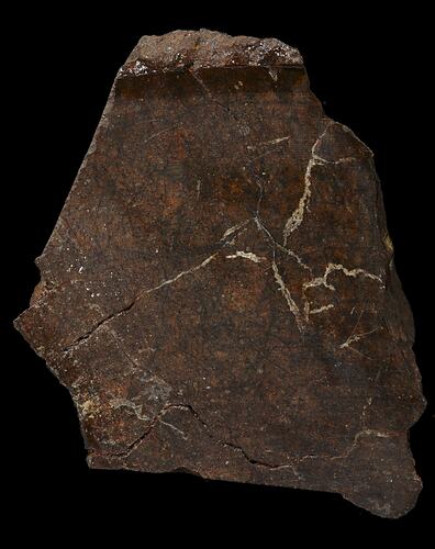 Coonana Meteorite. [E 3113]