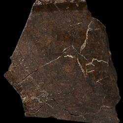 Coonana Meteorite. [E 3113]