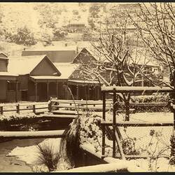 Photograph - Walhalla, Victoria, 1905-1920