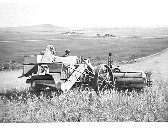 TYPE `XL' HARVESTER WORKING AT BLACK HILL: 1932
