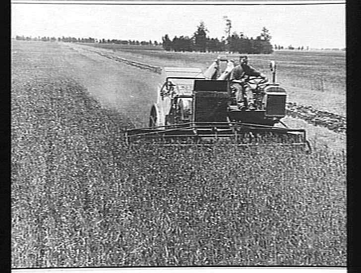 Sunshine Auto Header Harvester, 'W' Type