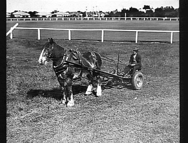 MOWER SUPPLIED TO CAULFIELD COUNCIL A(T) WORK IN PARK AT CARNEGIE: NOV 1936