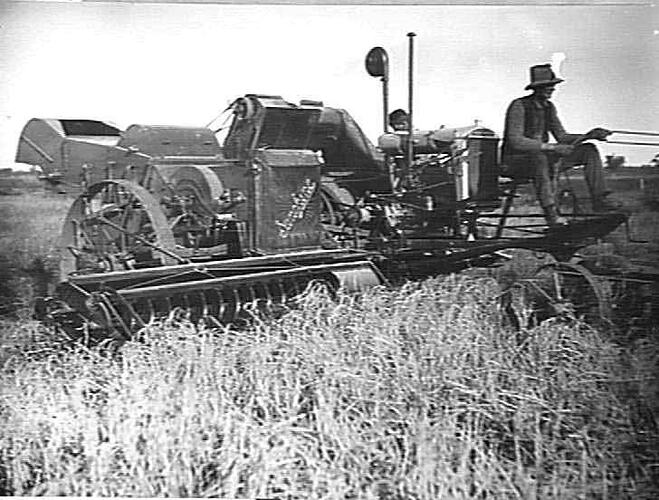 RICE HEADER (MORRIS ENGINE) ON MR DUFFEY'S FARM, LEETON N.S.W.: JUNE 1929