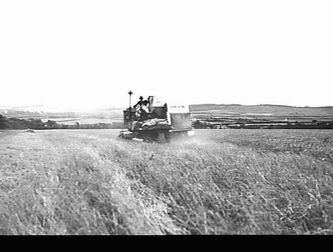 AUTO HEADER AT WORK IN DOWN CROP OF WHEAT ON MR H.H.SCOTT'S FARM