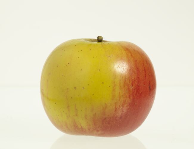 Red and yellow apple model.