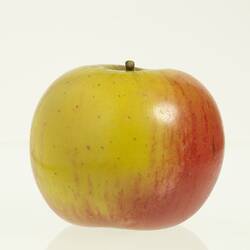 Red and yellow apple model.