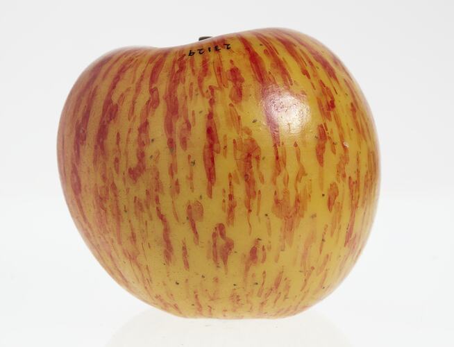 Wax model of an apple with stem, painted red and yellow, with brown stem.