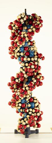 Model - DNA Molecule, Griffin & George Ltd, Motorised, 1965