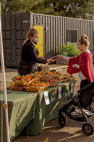 Contactless Payment, Rut Ortiz Montenegro, Melbourne Farmers Markets