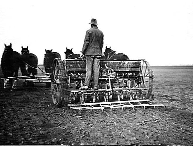 LONGERNONG COLLEGE, DOOEN, VIC: JUNE 1921
