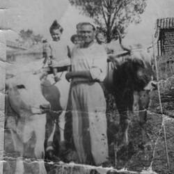 Digital Photograph - Domenico Annetta With Nephews & Nieces & Bullocks, Calabria, Italy, circa 1959