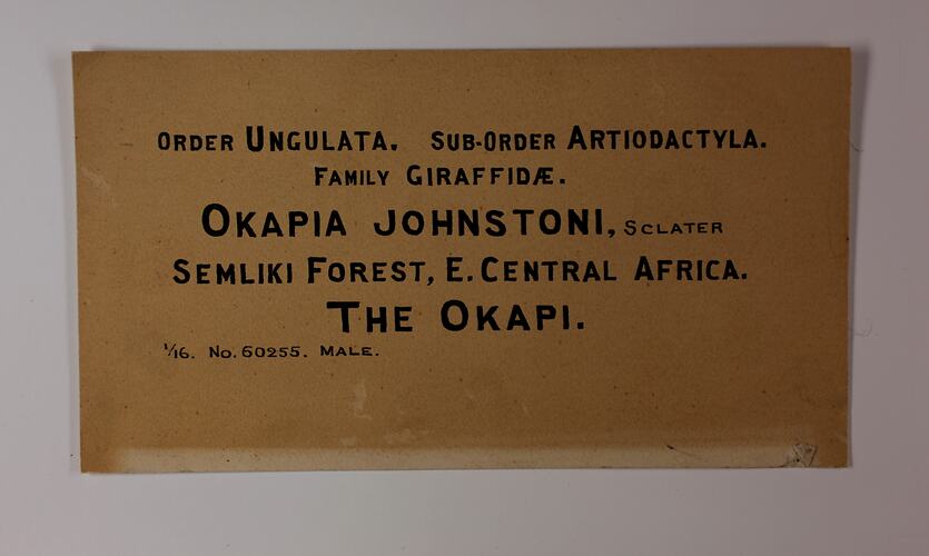 Cream rectangular label with black text.