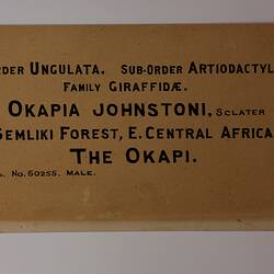 Cream rectangular label with black text.