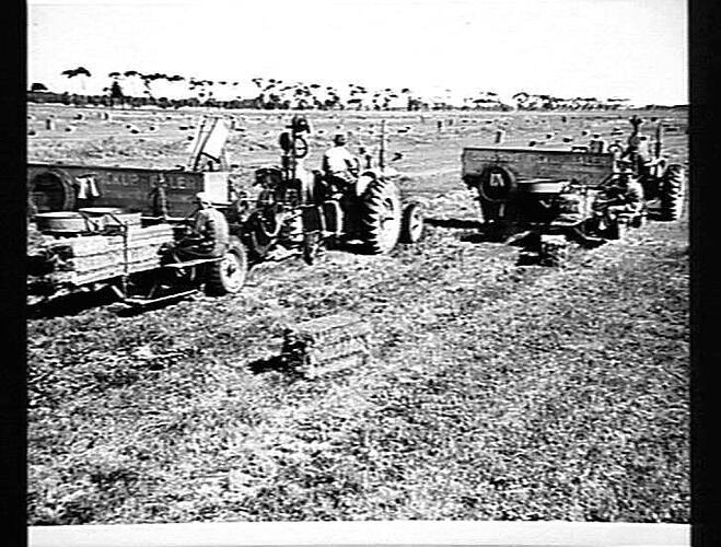 TWO SUNSHINE ENGINE-FUNCTIONED PICKUP BALERS, DRAWN BY SUNSHINE MASSEY HARRIS TRACTORS, BALING PERENNIAL RYE GRASS ON THE METROPOLITAN BOARD'S FARM AT WERRIBEE, VIC., FEBRUARY 1946.