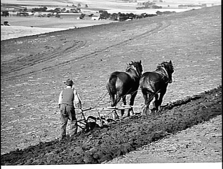 Photograph H.V. McKay Massey Harris, Farm Equipment Manufacture