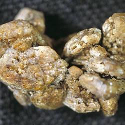 Cream-coloured mineral specimen.