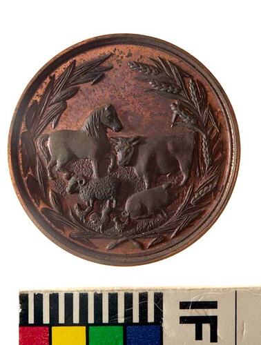 Medal - Eastern Downs Horticultural and Agricultural Association Prize,c. 1880 AD