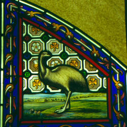 Stained glass window, detail showing an EMu.