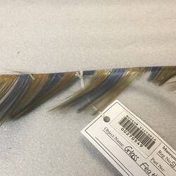 Finely spun glass replicating a blue and yellow feather.