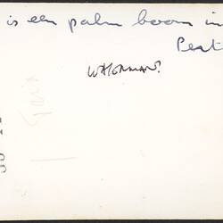 White back of photograph with handwriting.