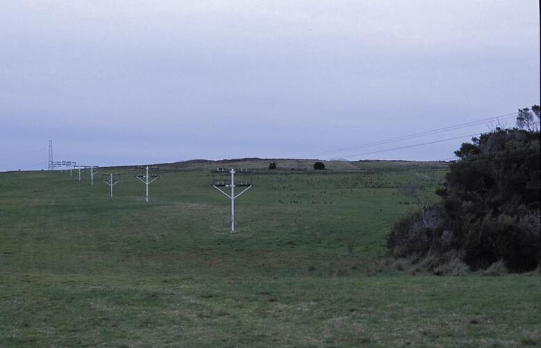 MM 028515 Receive feeder lines with receive antenna in background. Melbourne Coastal Radio Station, Cape Schanck, Victoria