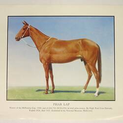 Poster - National Museum of Victoria, Phar Lap, 1980s