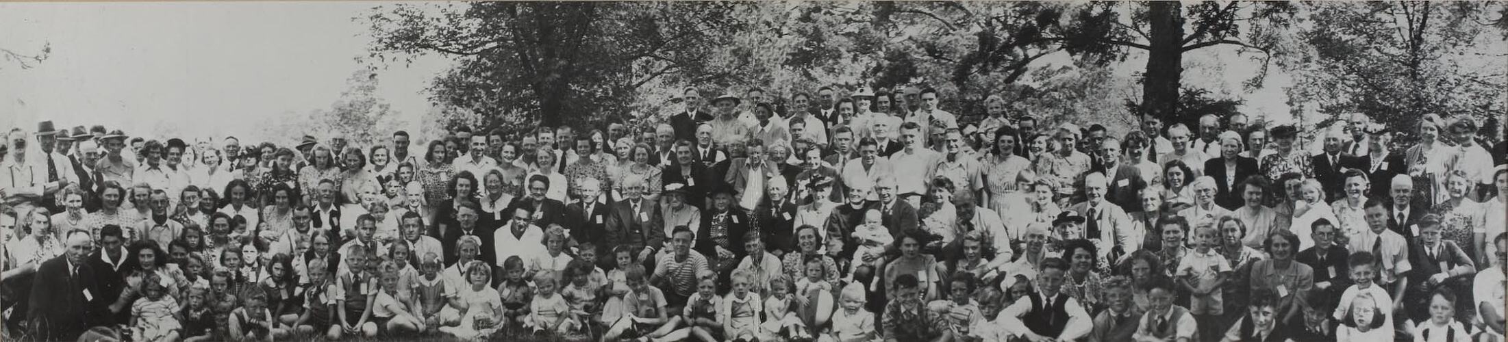 Digital Photograph - Family Gathering of over 100 people, at Annual Picnic, Heidelberg, 1949