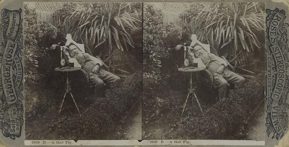 Digital Photograph - Rose's Stereoscopic Views, 'D----n that Fly' Comical Stereograph, circa 1900