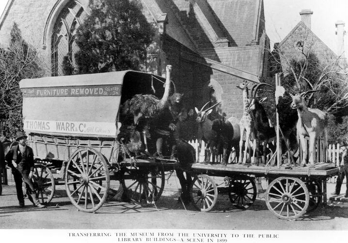 Wagon transporting taxidermied animals.