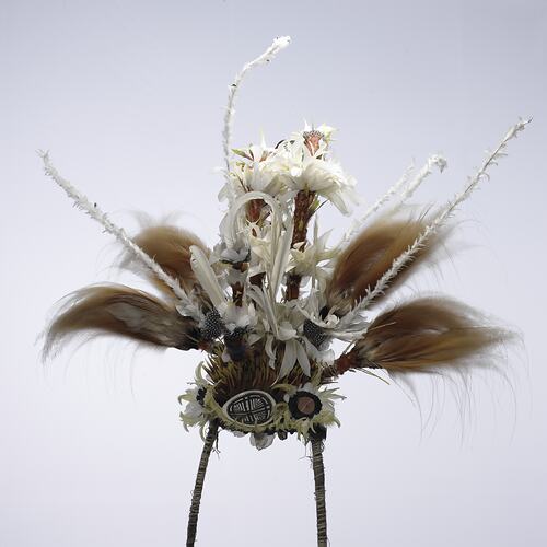 Mekeo ceremonial headdress, Oriopetana, Papua New Guinea, pre 1906.