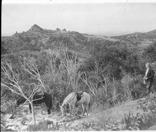 Lantern Slide - Horse Riding on Mt Buffalo, Victoria, Date Unknown. [BA 1849]