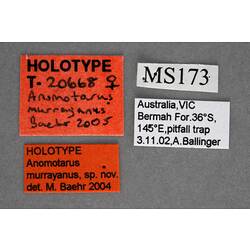 Handwritten specimen labels.