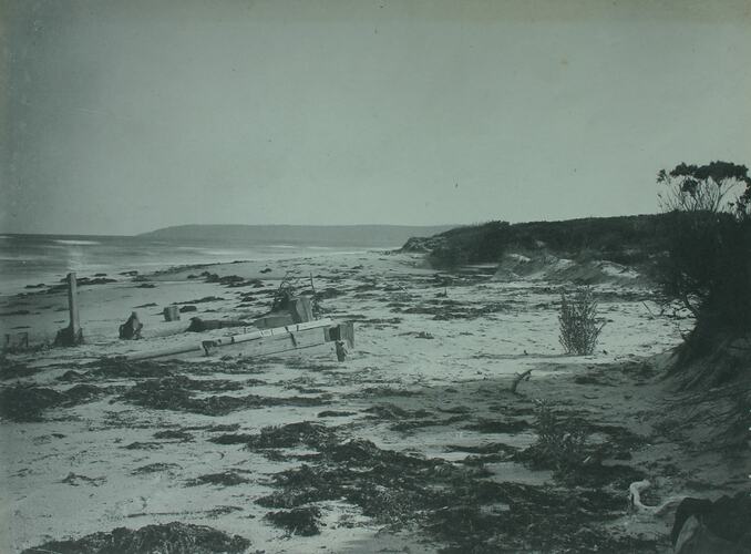 Remains of the Barque 'Altona' wrecked 1877 Sea Elephant Bay - Point Campbell in the distance - East Coast