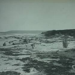 Photograph - Barque Altona Wreckage, King Island, 1887